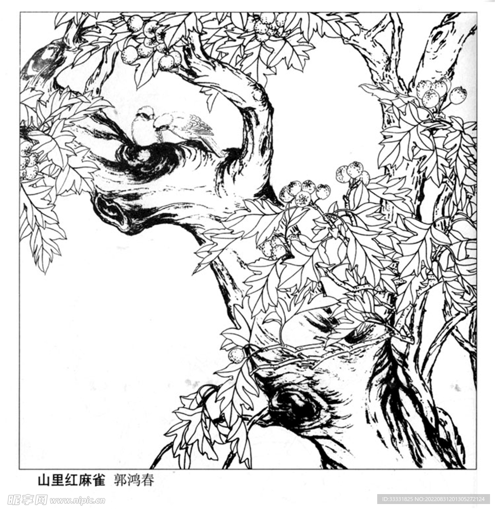 工笔花鸟