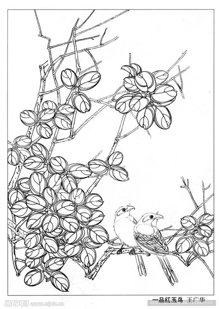 工笔花鸟