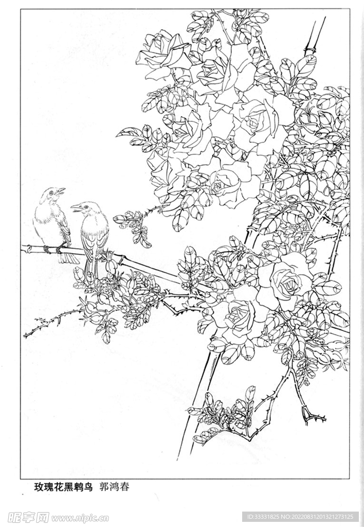 工笔花鸟