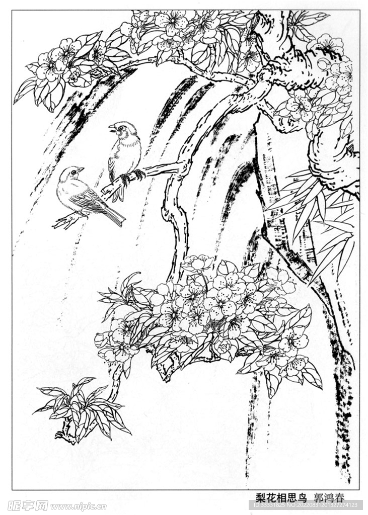 工笔花鸟