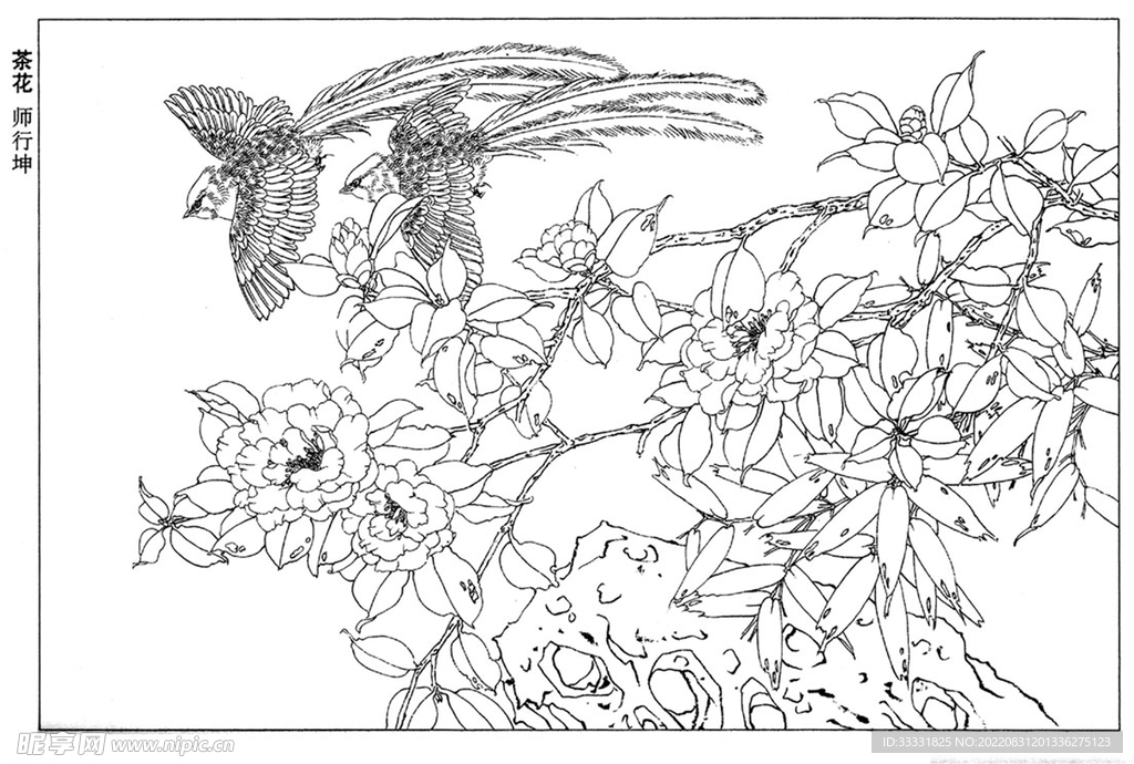 工笔花鸟