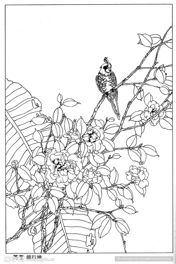 工笔花鸟