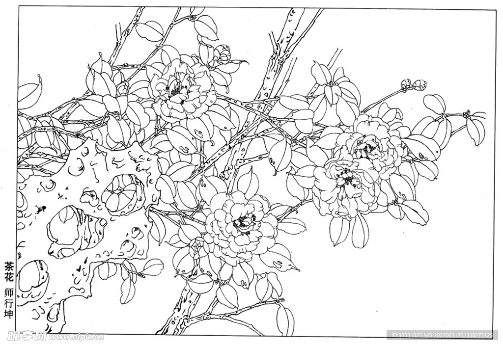 工笔花鸟