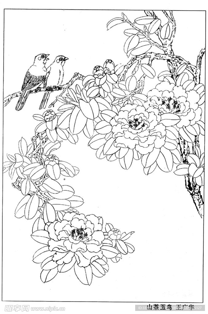 工笔花鸟