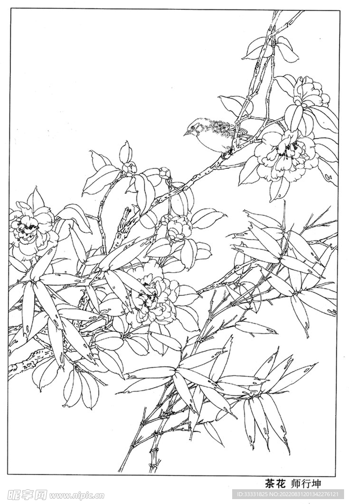 工笔花鸟