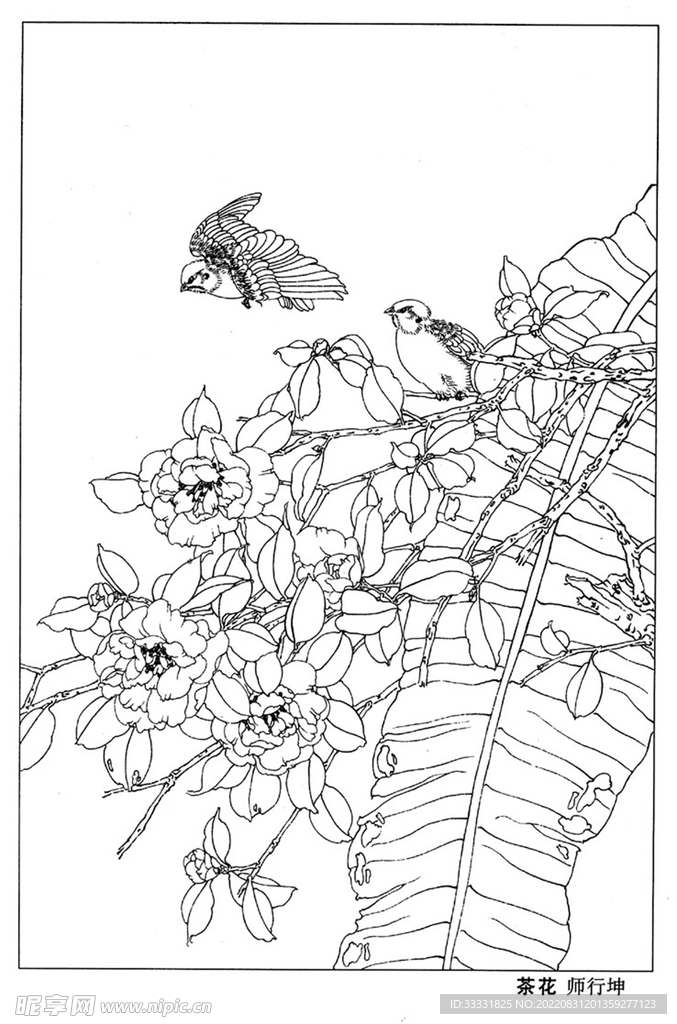 工笔花鸟
