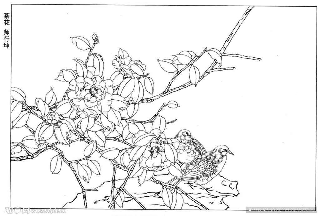 工笔花鸟