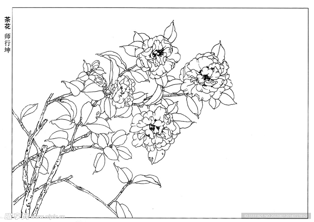工笔花鸟