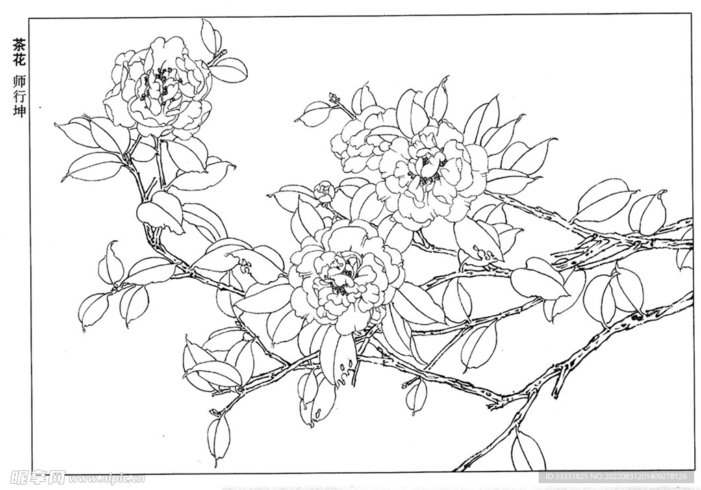 工笔花鸟