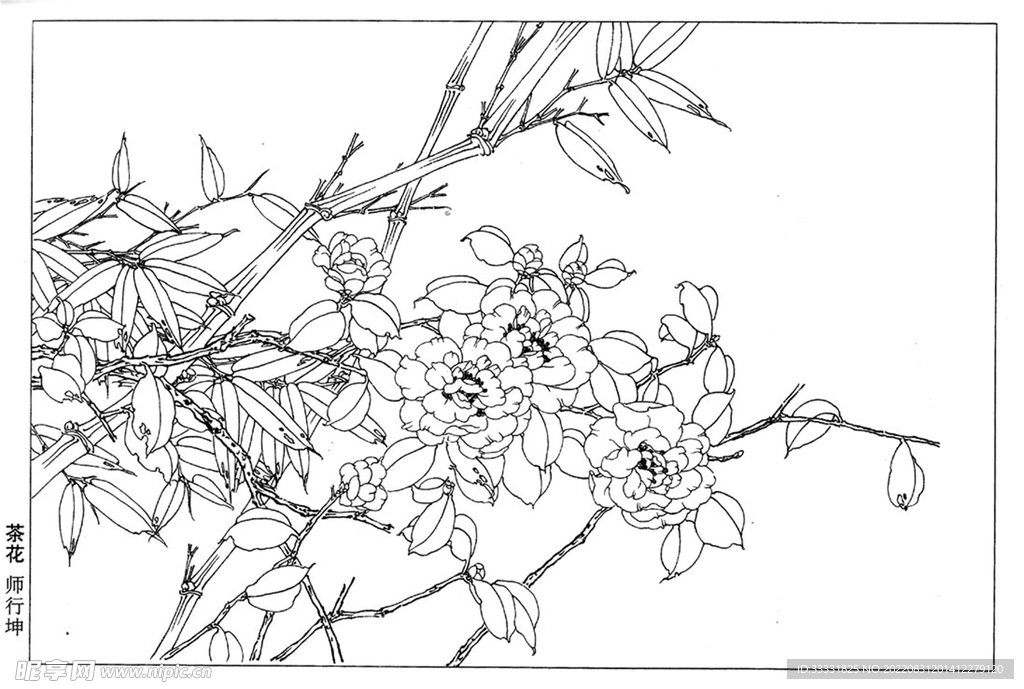 工笔花鸟