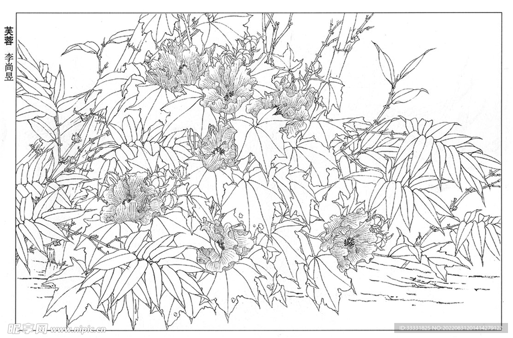 工笔花鸟