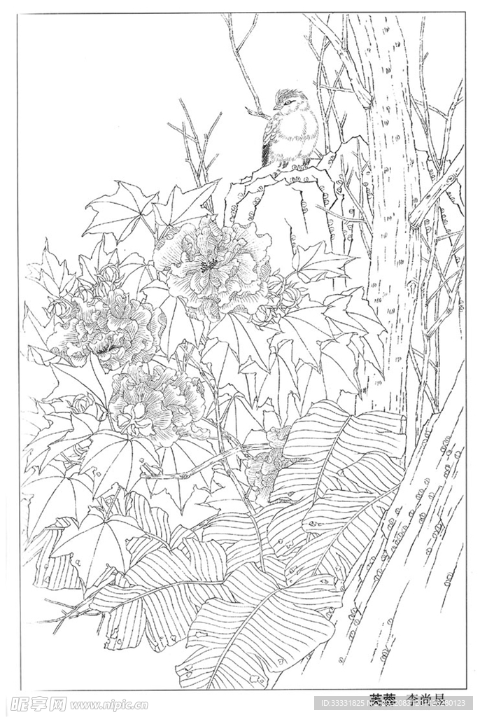 工笔花鸟