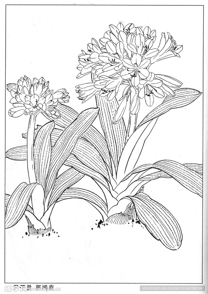 工笔花鸟