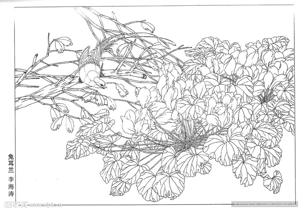 工笔花鸟
