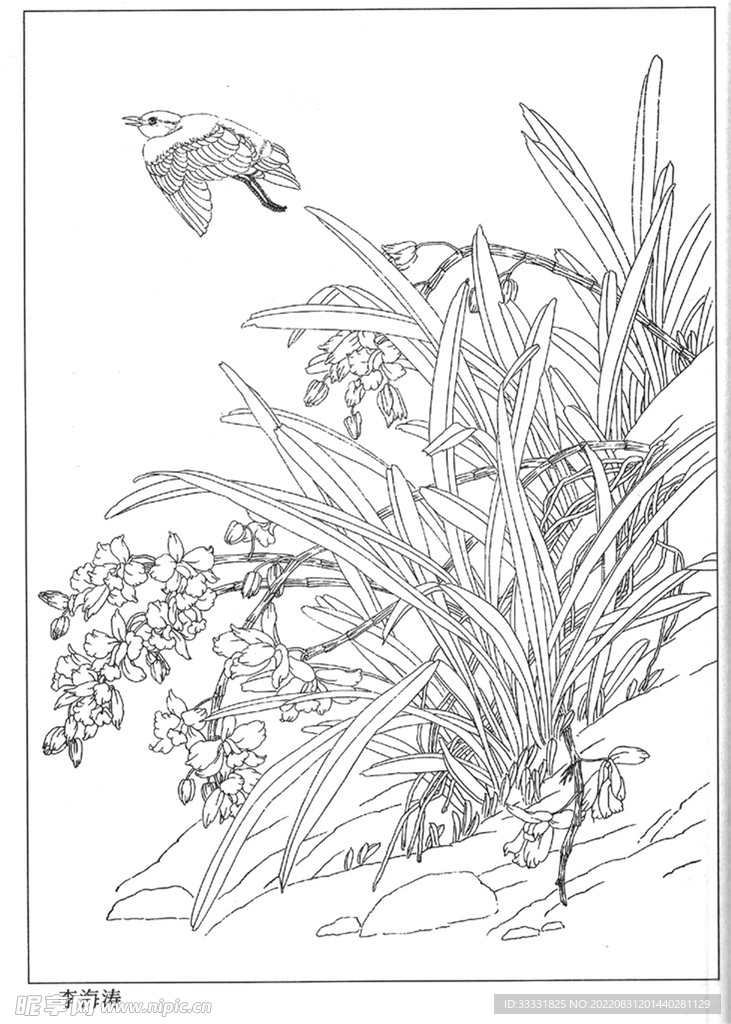 工笔花鸟
