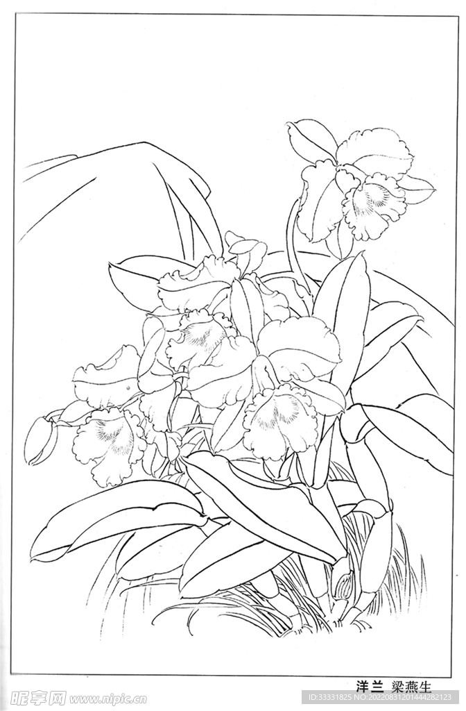 工笔花鸟
