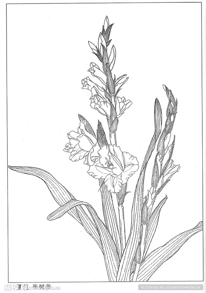 工笔花鸟