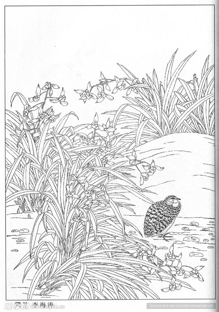 工笔花鸟