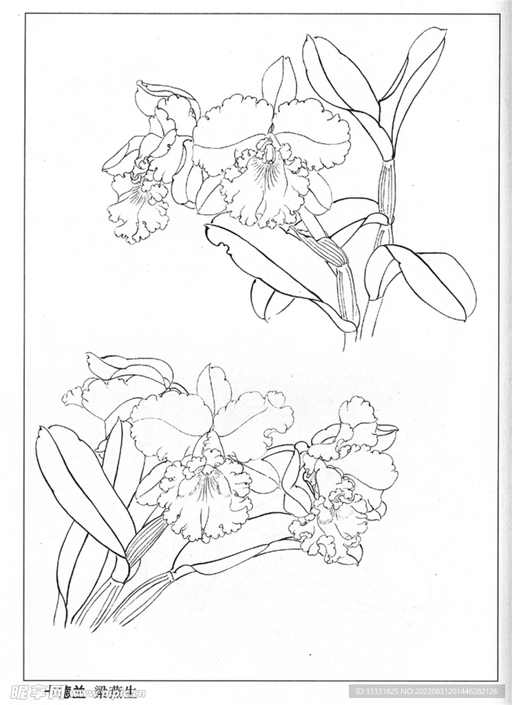 工笔花鸟