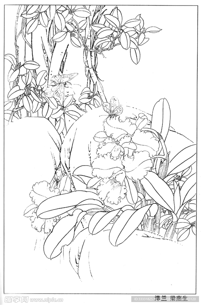 工笔花鸟