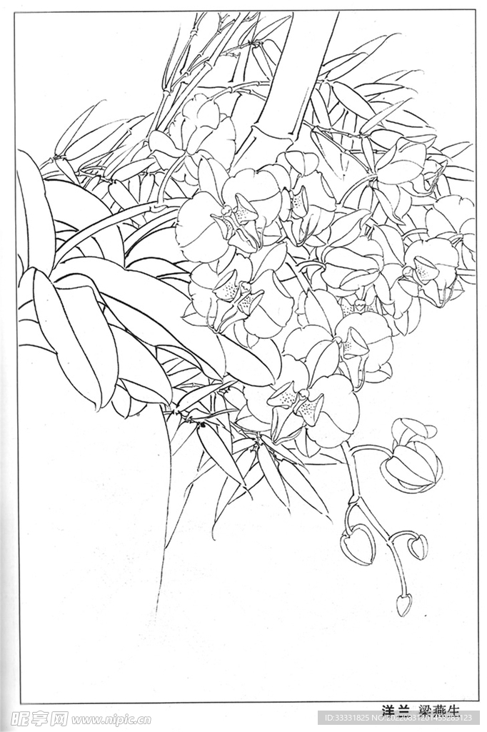 工笔花鸟