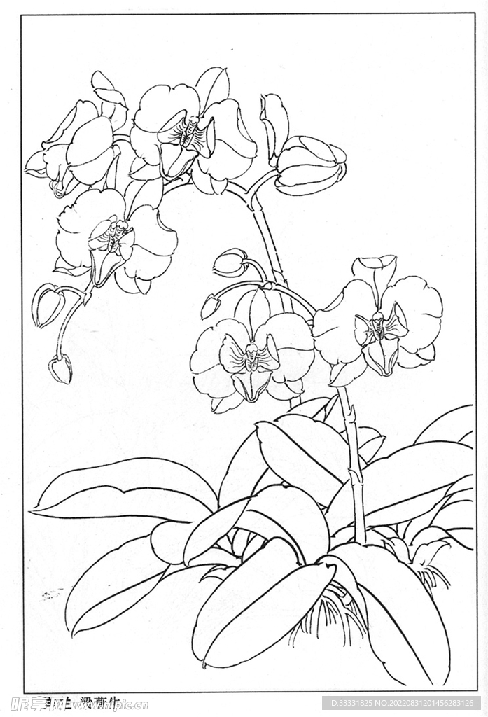 工笔花鸟