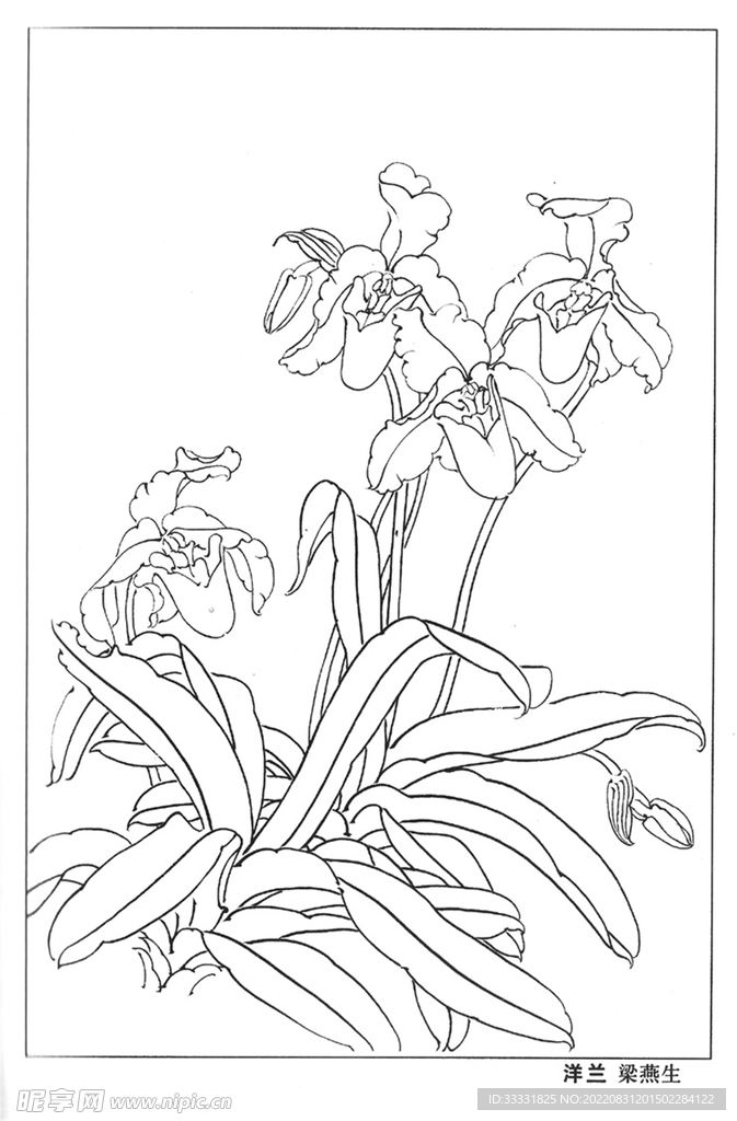 工笔花鸟