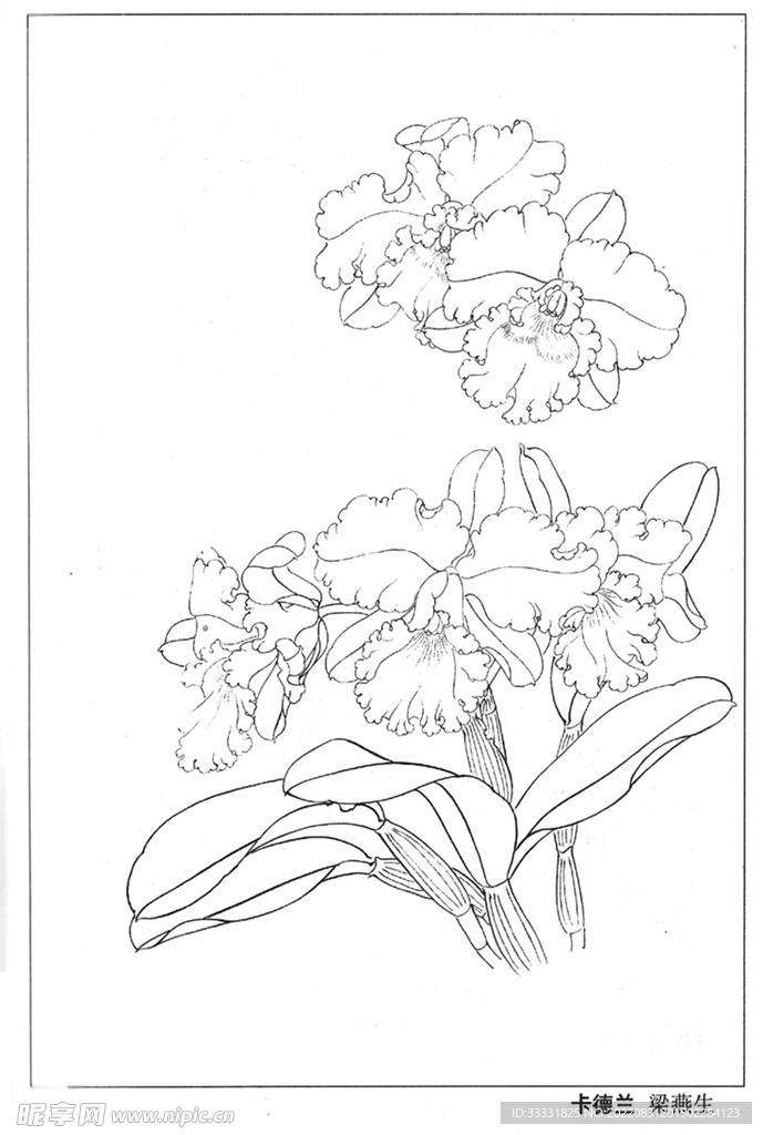工笔花鸟