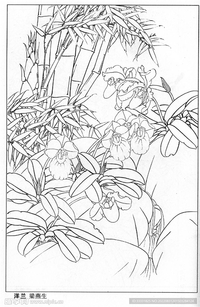 工笔花鸟