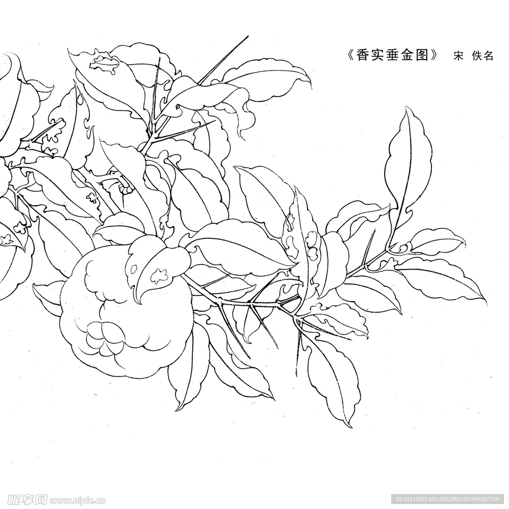 工笔花鸟