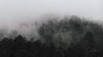 大山雾气