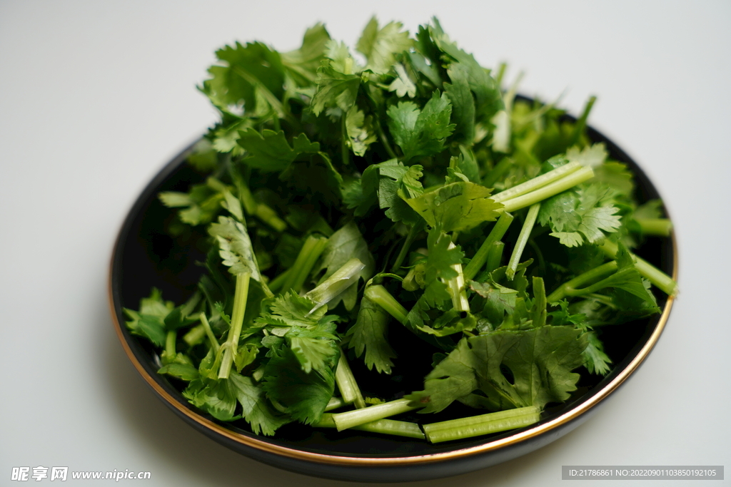 香菜
