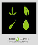 树叶 叶子公园 绿植 热带叶子