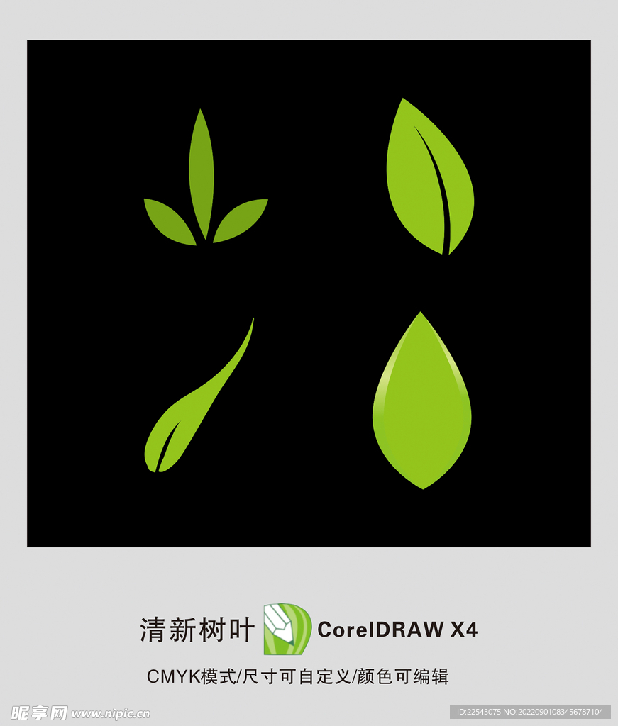 树叶 叶子公园 绿植 热带叶子
