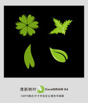 清新树叶
