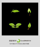 树叶绿色
