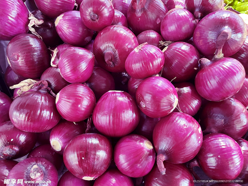 洋葱种子高产紫皮红皮黄皮种籽圆葱早熟四季春秋蔬菜种植大葱种子-阿里巴巴
