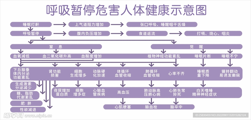 呼吸暂停健康示意图