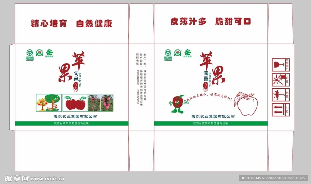 包装设计