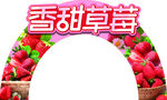 香甜草莓 新鲜草莓
