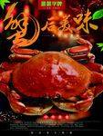大闸蟹新上市 