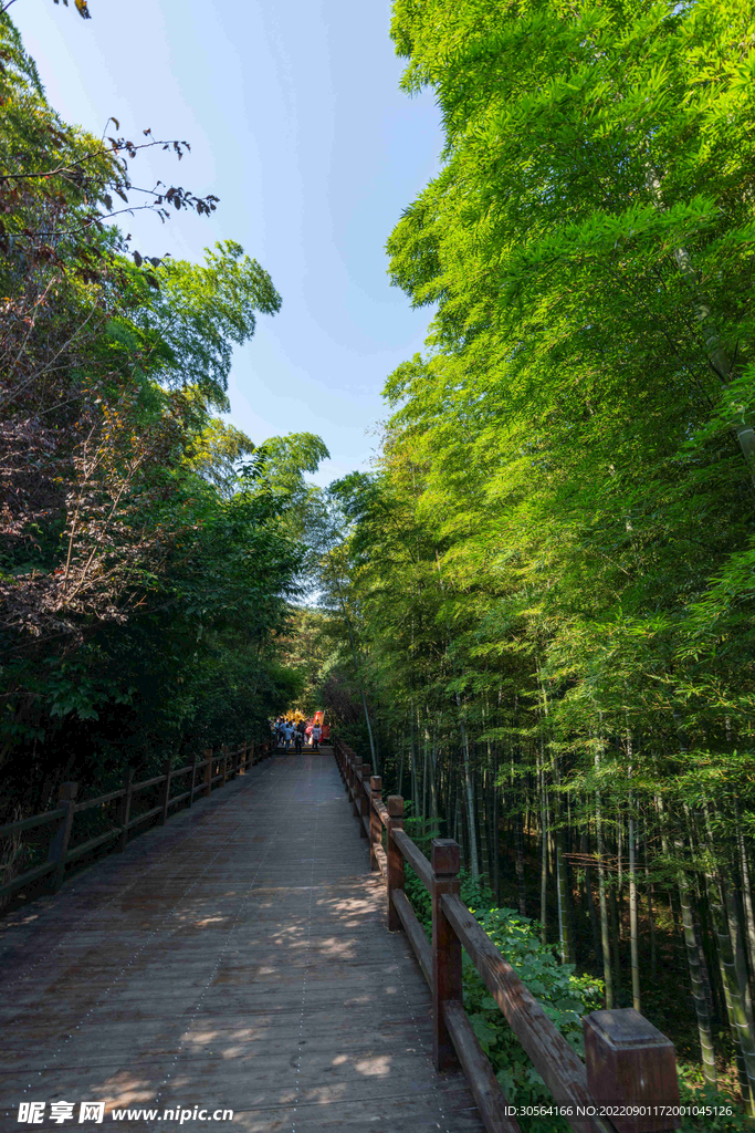 公园道路