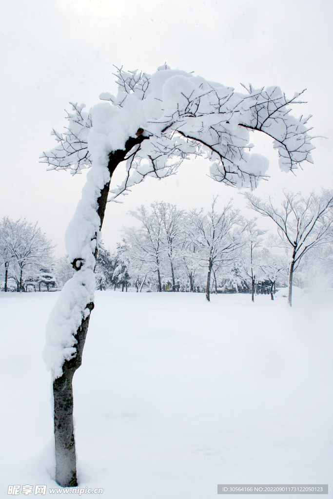 冬季雪地