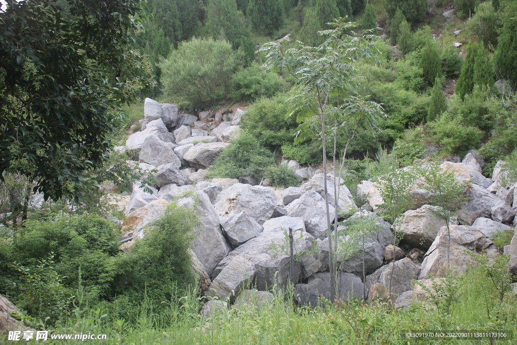 山中巨石堆