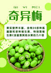 奇异梅 海报