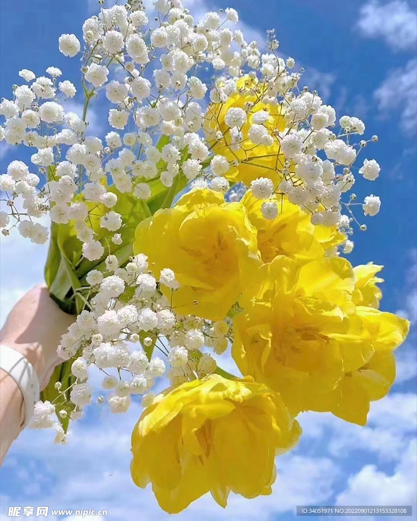 阳光鲜花