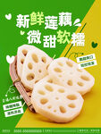 新鲜莲藕