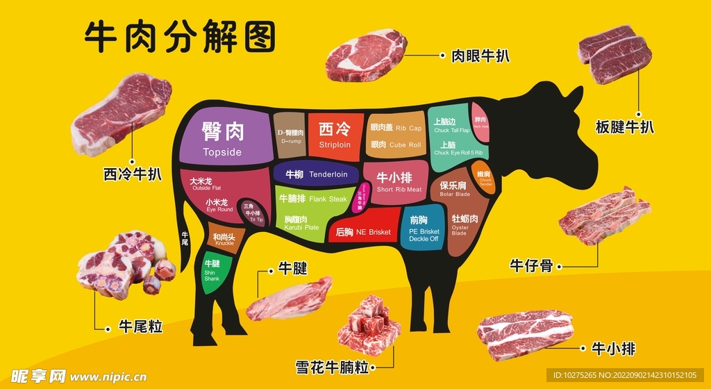 牛肉部位分解全图