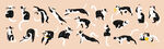 卡通猫集合