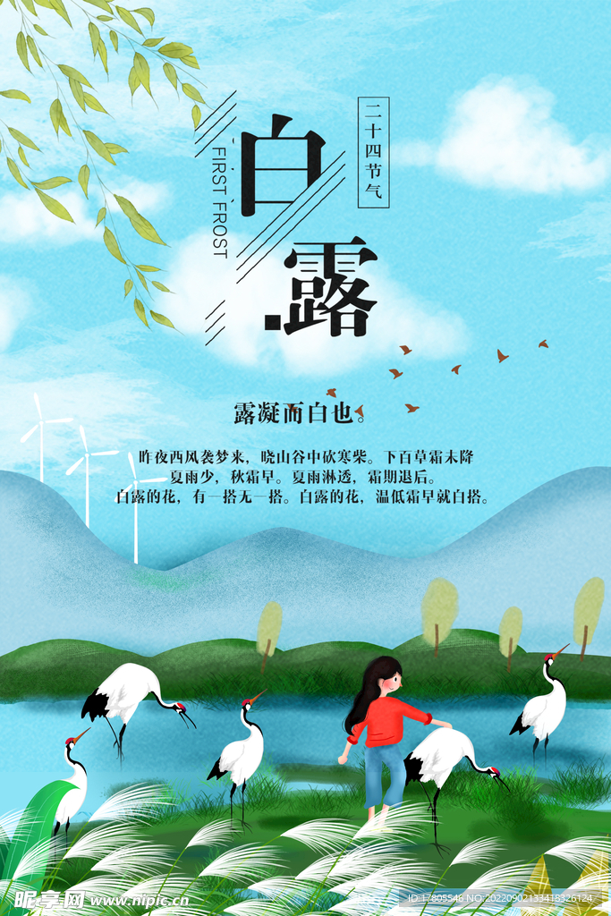 白露海报 中国风  传统节日 